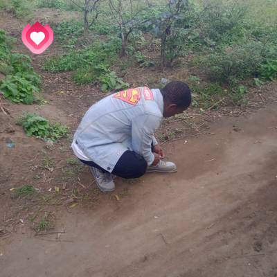 Innocent Shareef